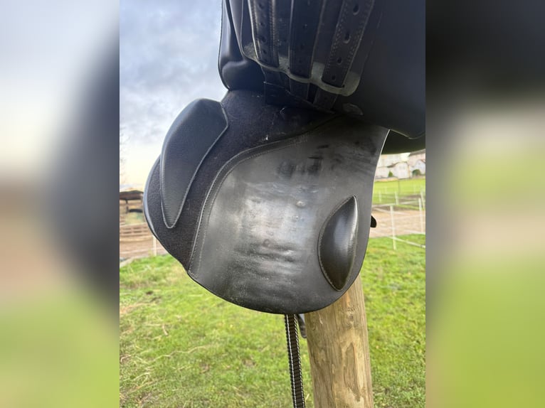 Kieffer Vielseitigkeitssattel-Horse & Passion “Passion two”