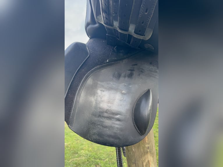 Kieffer Vielseitigkeitssattel-Horse & Passion “Passion two”