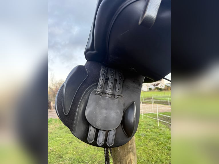 Kieffer Vielseitigkeitssattel-Horse & Passion “Passion two”