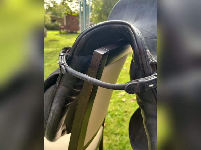 Kieffer Vielseitigkeitssattel