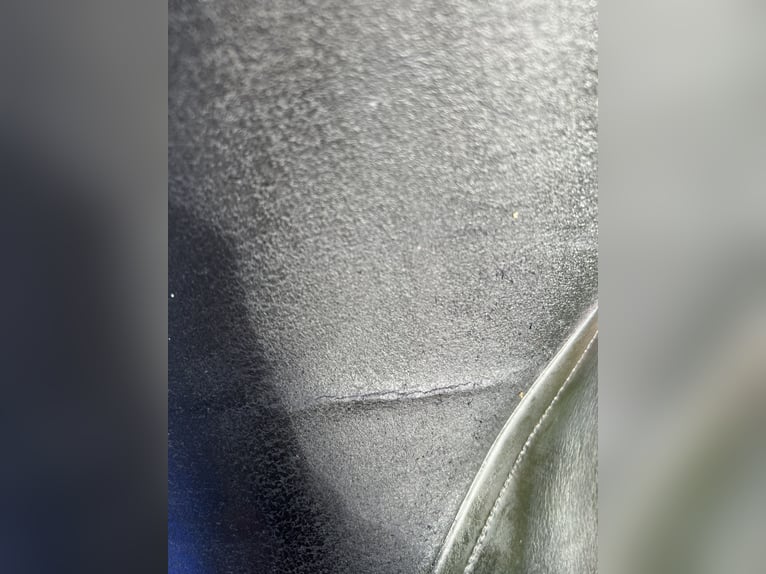 Kieffer Vielseitigkeitssattel