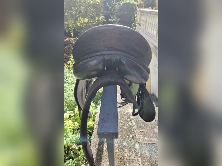 Kieffer Vielseitigkeitssattel