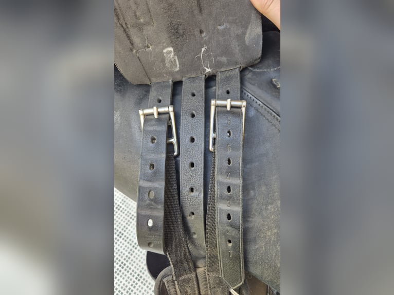 Kieffer Vielseitigkeitssattel