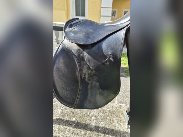 Kieffer Vielseitigkeitssattel