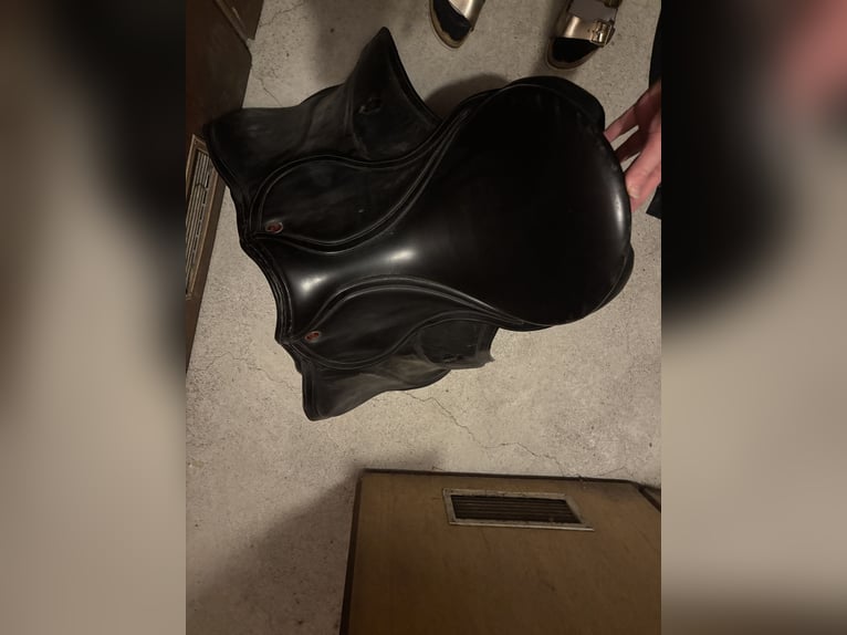 Kieffer Vielseitigkeitssattel