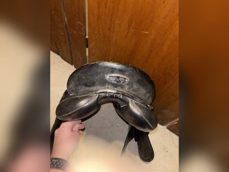 Kieffer Vielseitigkeitssattel