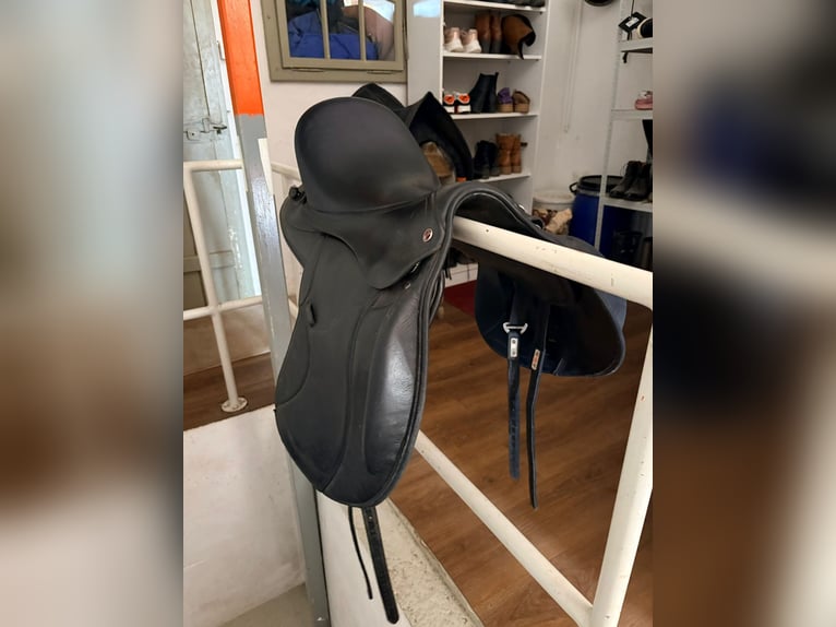 Kieffer Vielseittigkeitssattel Bern praktisch neu