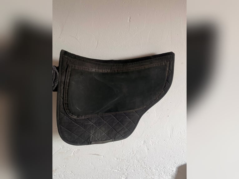 Kieffer Vielseittigkeitssattel Bern praktisch neu