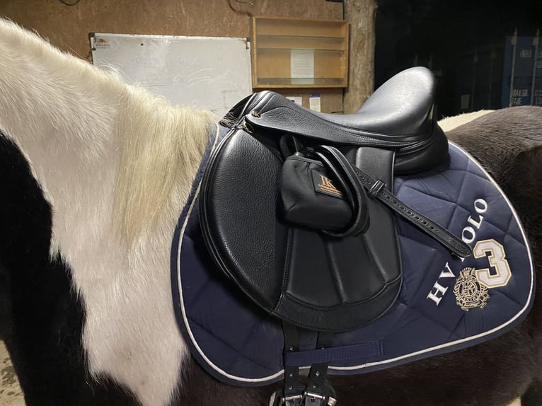 Louisa Koehne VS Sattel 16,5 Zoll 