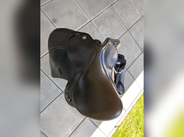 Massimo ON | VSD Sattel mit leichten Dressurschwung 17,5 Zoll KW 34