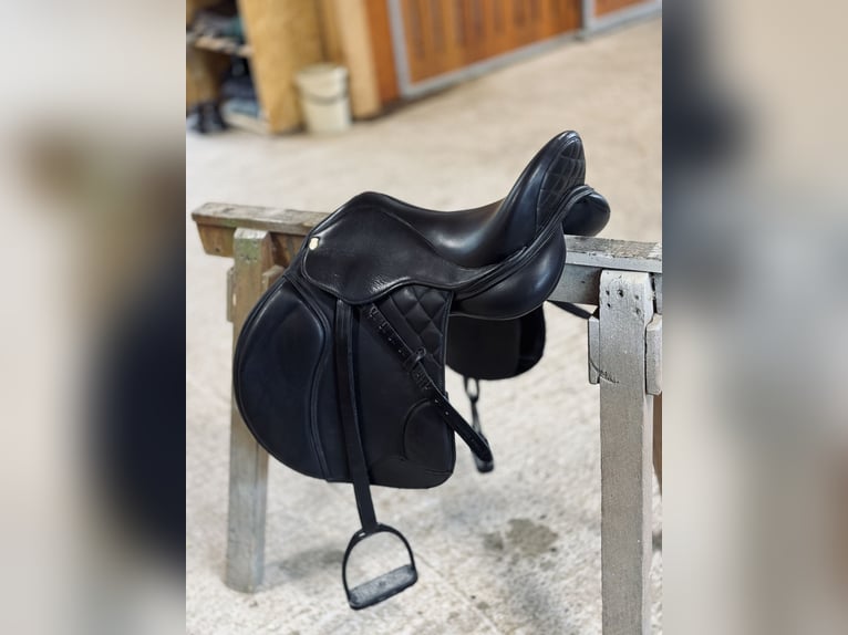 Massimo Saddle Up VS/VSD 17,5 KW 34 – neuwertig – austauschbare Pauschen