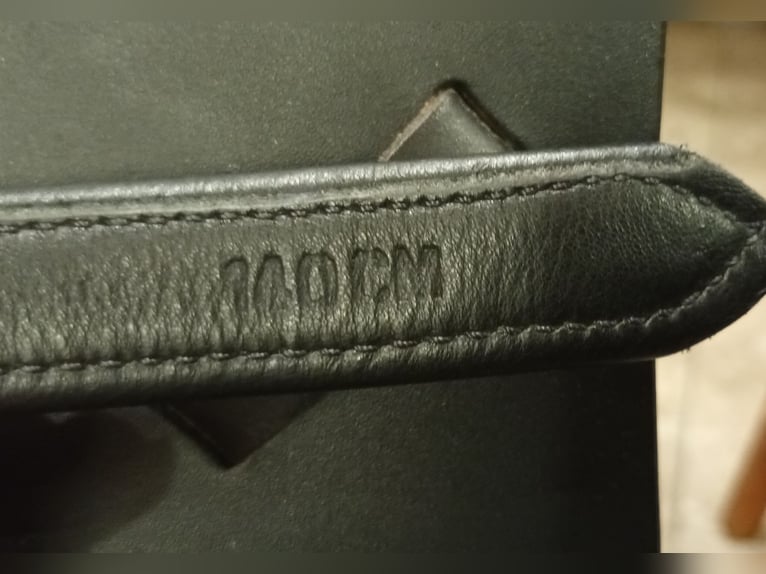 Massimo SON 2 VS Sattel mit französischen Kissen 