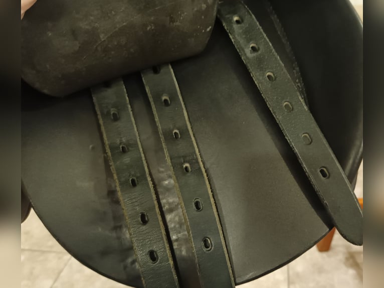 Massimo SON 2 VS Sattel mit französischen Kissen 