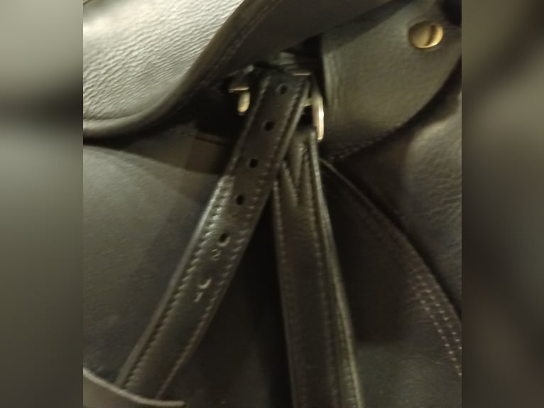 Massimo SON 2 VS Sattel mit französischen Kissen 