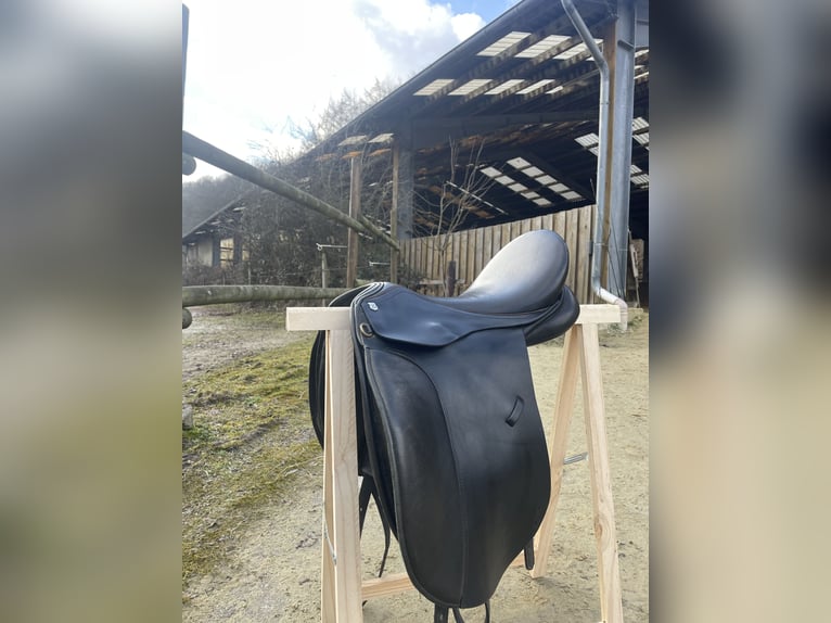 MASSIMO VS SATTEL 17.5 ZOLL WIE NEU ‼️