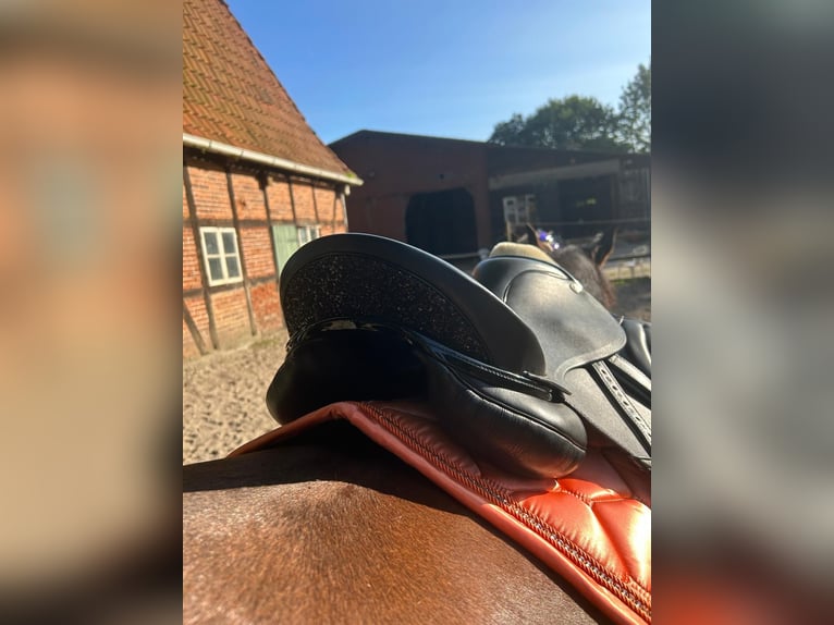 Neuwertiger Ledersattel der Marke Sommer 
