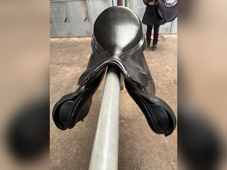 Passier Avior 17“ Springsattel