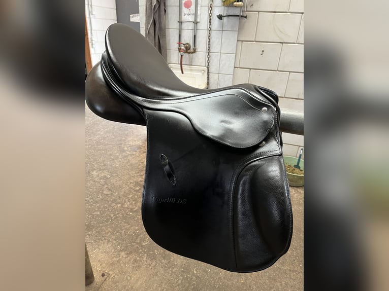 Passier Avior 17“ Springsattel