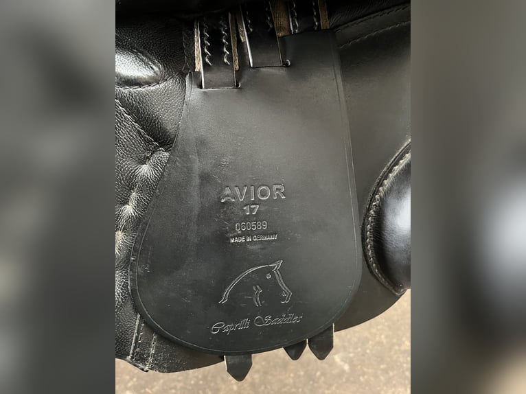 Passier Avior 17“ Springsattel