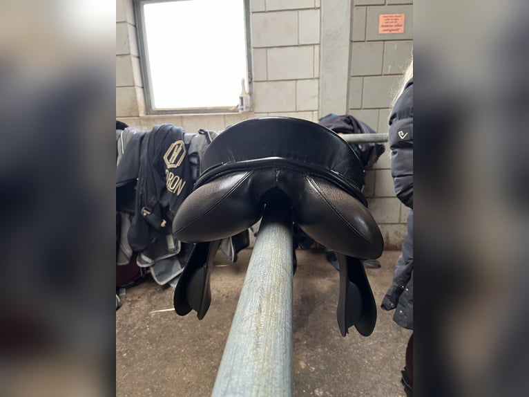 Passier Avior 17“ Springsattel