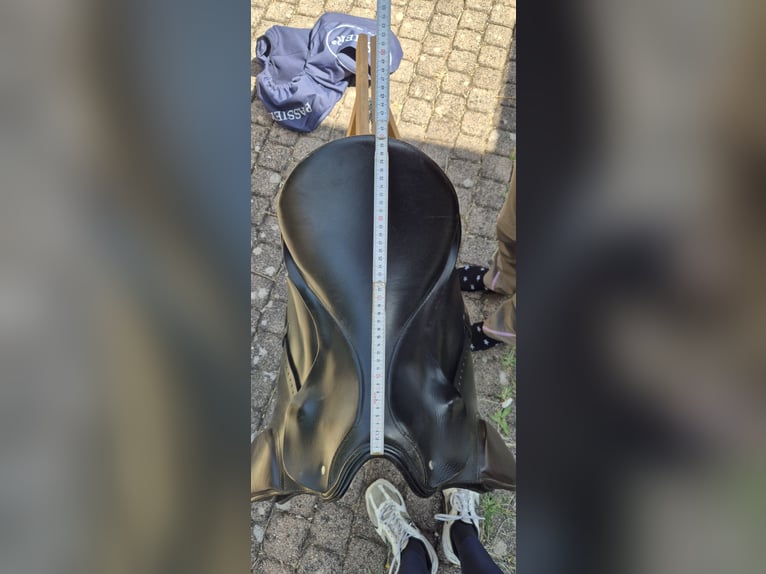 Passier Paxton 17,5 Vielseitigkeitssattel