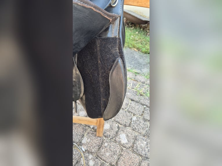 Passier Paxton 17,5 Vielseitigkeitssattel