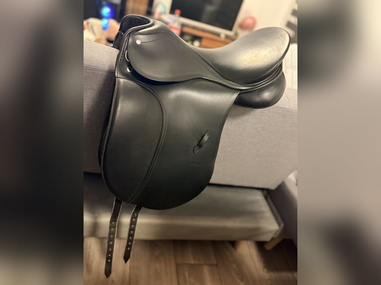 Passier Young Star Vielseitigkeitssattel 16” – TOP Zustand + Zubehör