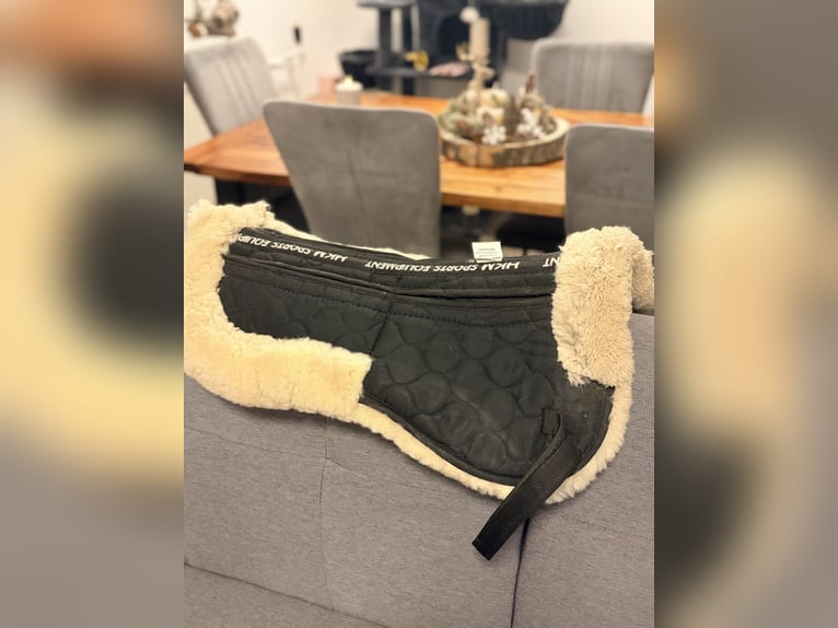 Passier Young Star Vielseitigkeitssattel 16” – TOP Zustand + Zubehör