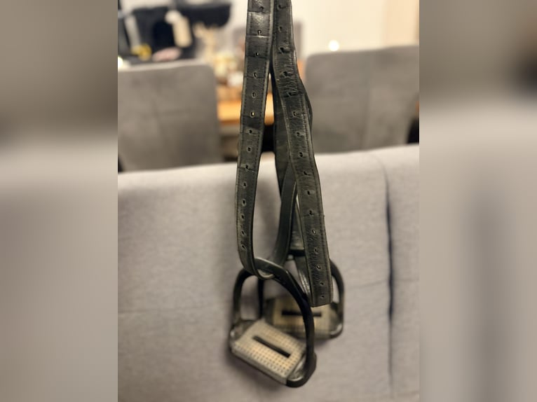 Passier Young Star Vielseitigkeitssattel 16” – TOP Zustand + Zubehör