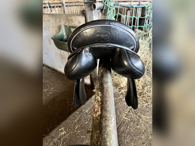 Prestige 18 Zoll GP Vielseitigkeitssattel