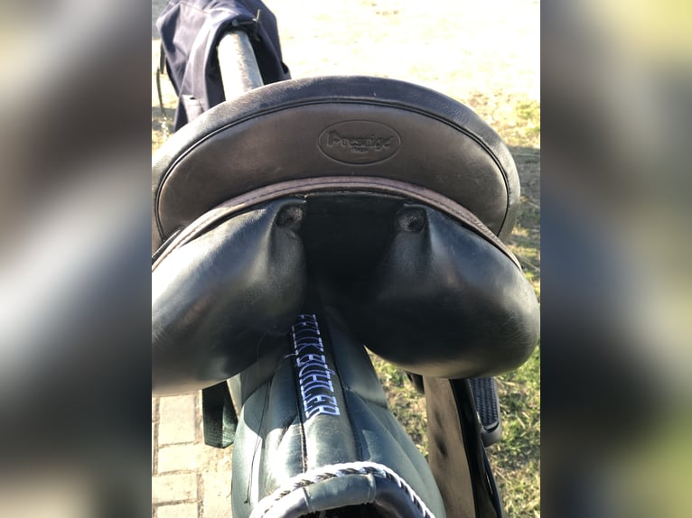 Prestige GP2 VSD 17 Zoll