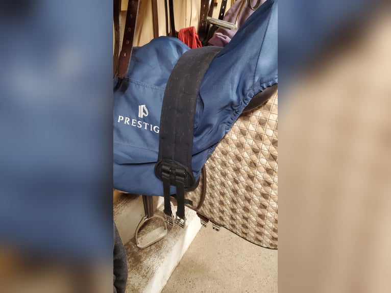 Prestige Roma VSD Neuwertig, inkl Sattelzubehör, Prestige Kopfstück