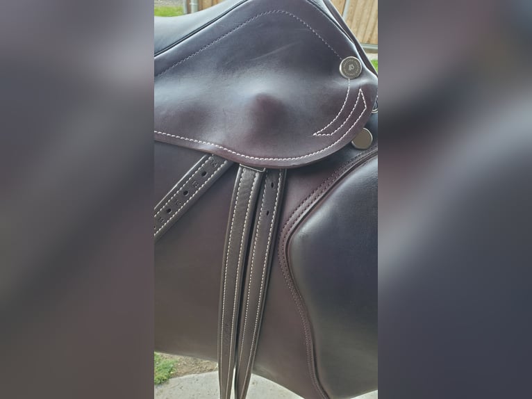 Prestige Roma VSD Neuwertig, inkl Sattelzubehör, Prestige Kopfstück