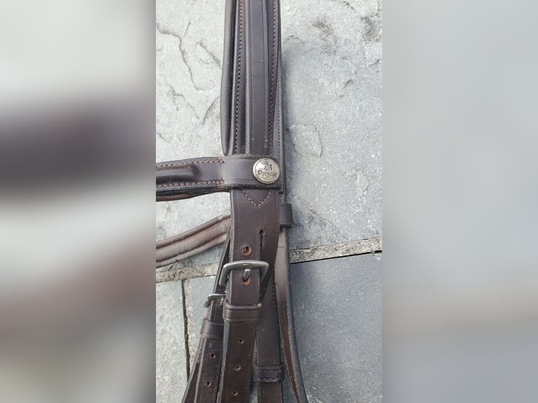 Prestige Roma VSD Neuwertig, inkl Sattelzubehör, Prestige Kopfstück