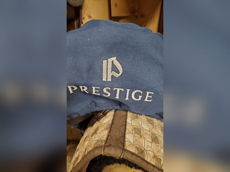 Prestige Roma VSD Neuwertig, inkl Sattelzubehör, Prestige Kopfstück