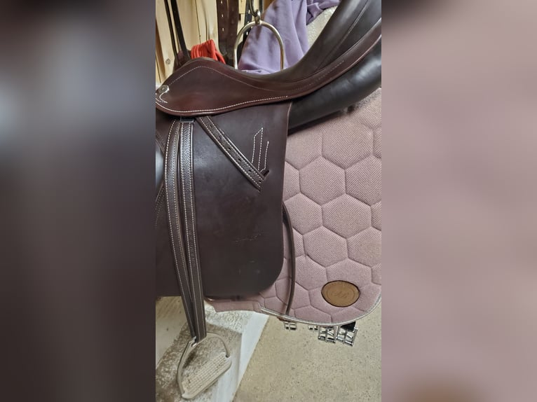 Prestige Roma VSD Neuwertig, inkl Sattelzubehör, Prestige Kopfstück