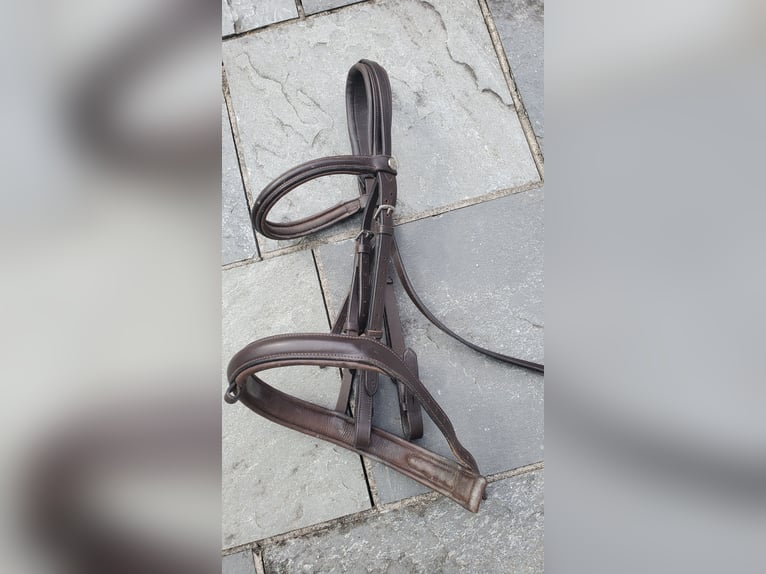 Prestige Roma VSD Neuwertig, inkl Sattelzubehör, Prestige Kopfstück