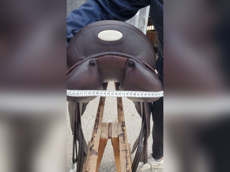 Prestige Roma VSD Neuwertig, inkl Sattelzubehör, Prestige Kopfstück