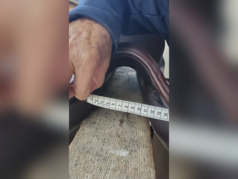 Prestige Roma VSD Neuwertig, inkl Sattelzubehör, Prestige Kopfstück