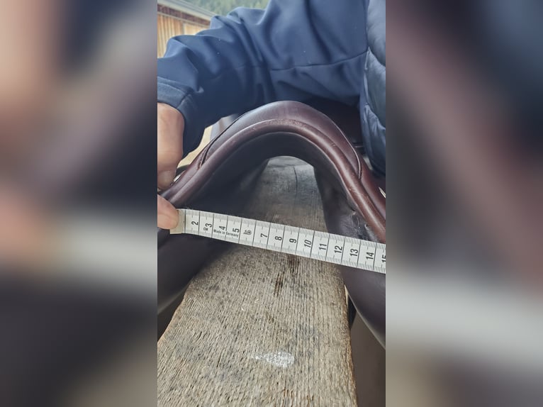 Prestige Roma VSD Neuwertig, inkl Sattelzubehör, Prestige Kopfstück