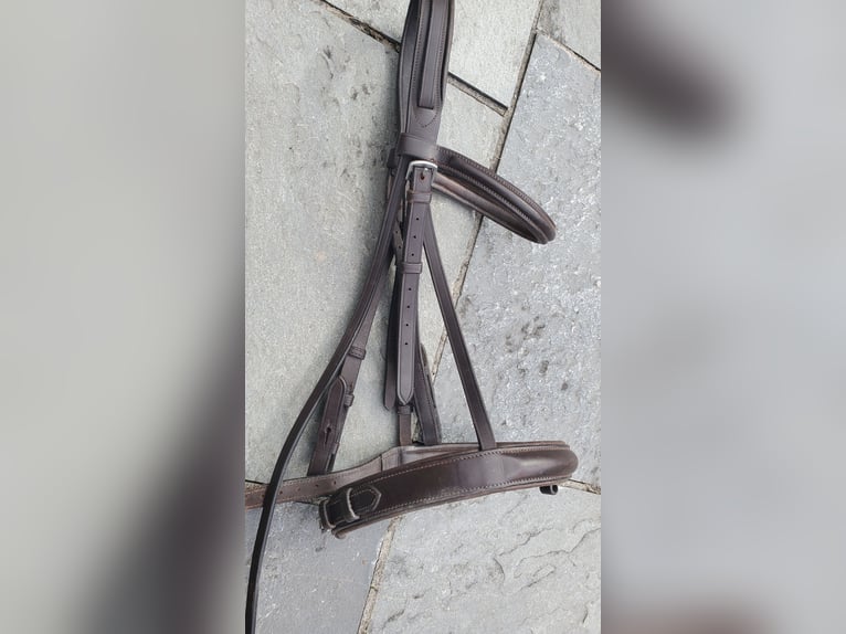 Prestige Roma VSD Neuwertig, inkl Sattelzubehör, Prestige Kopfstück