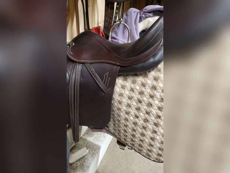 Prestige Roma VSD Neuwertig, inkl Sattelzubehör, Prestige Kopfstück