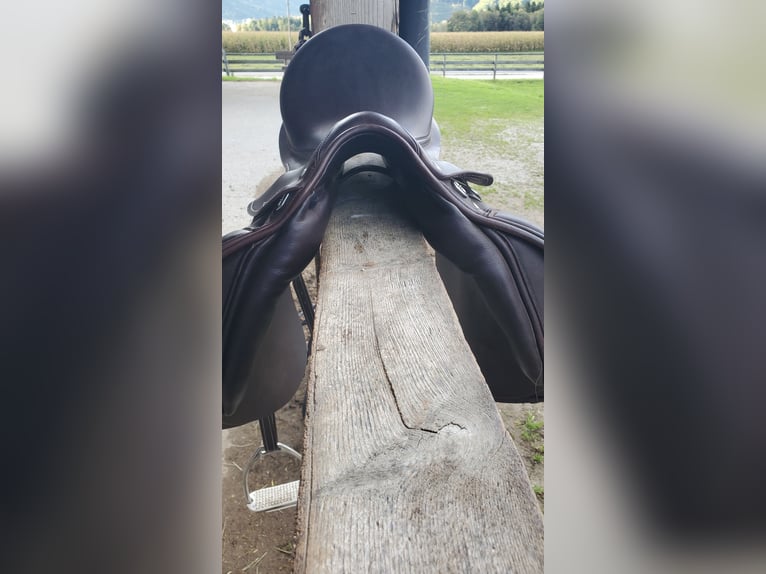 Prestige Roma VSD Neuwertig, inkl Sattelzubehör, Prestige Kopfstück