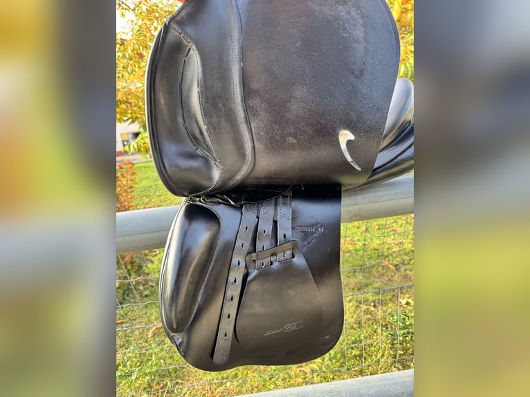 Prestige Roma VSD Sattel – gepflegt & einsatzbereit! 850€