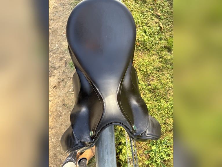 Prestige Roma VSD Sattel – gepflegt & einsatzbereit! 850€