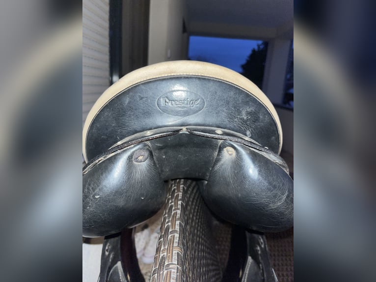 Prestige Valenzia VS Sattel