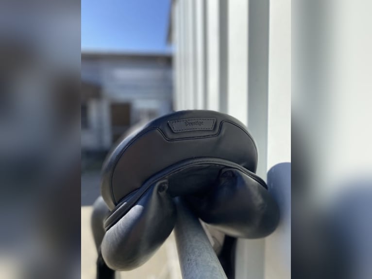 Prestige Venezia 17 Zoll