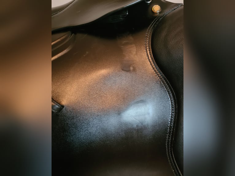 Prestige Venezia VS 17/33