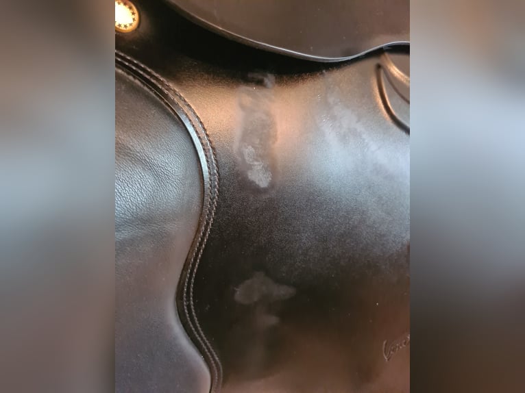 Prestige Venezia VS 17/33