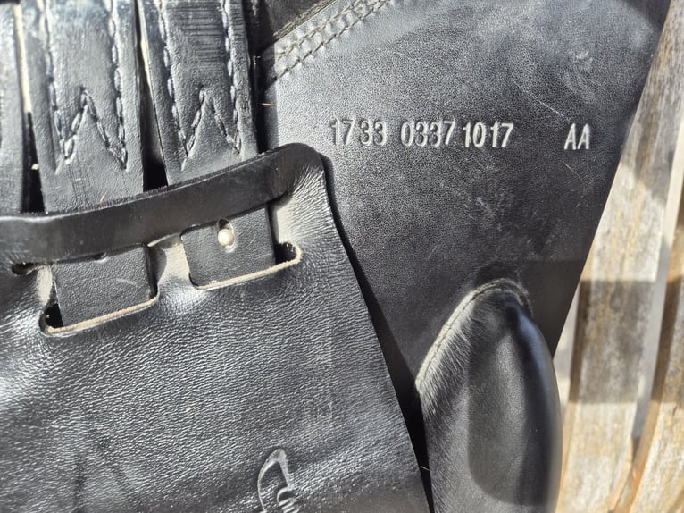 Prestige Venezia VSS, Kissen +2, 17´´, 33er Kammer